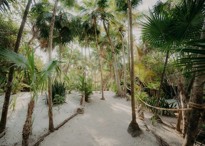 Peaceful Penthouse With Private Rooftop In Gated Community Apartamento Tulum